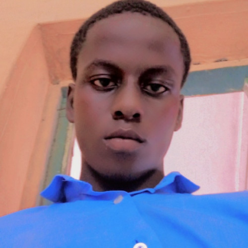 Arowolo  A. profile photo