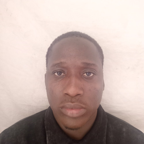 Oluwafemi E.