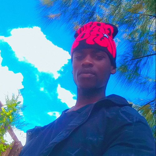 Davie M. profile photo