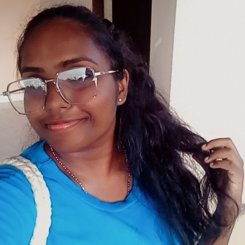 dewmi s.