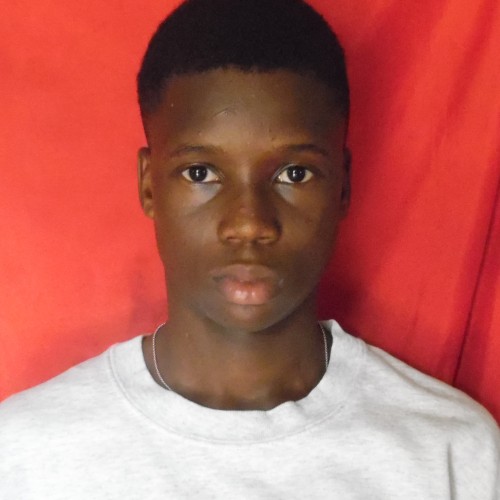 Toluwalase A. profile photo