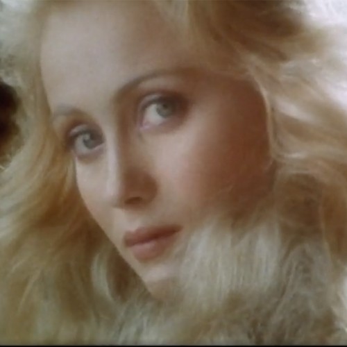 Cure  S. profile photo