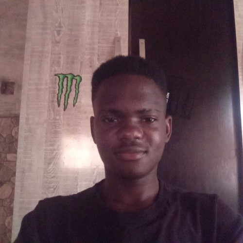 David D. profile photo