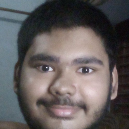 Animesh S.