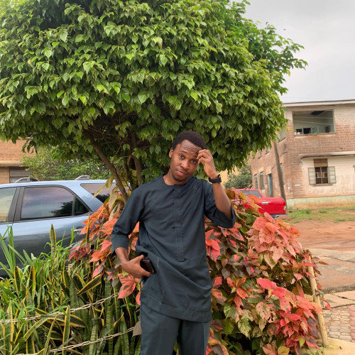 Okwuchi S. profile photo