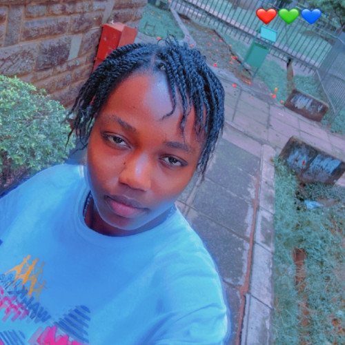 Valarian  N. profile photo