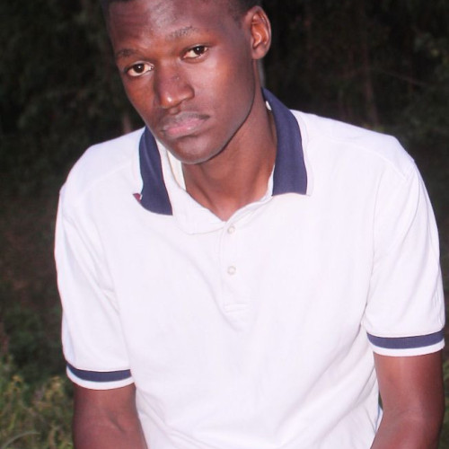 Sainz  M. profile photo