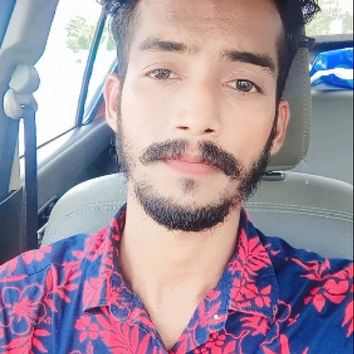 Biswajit M.