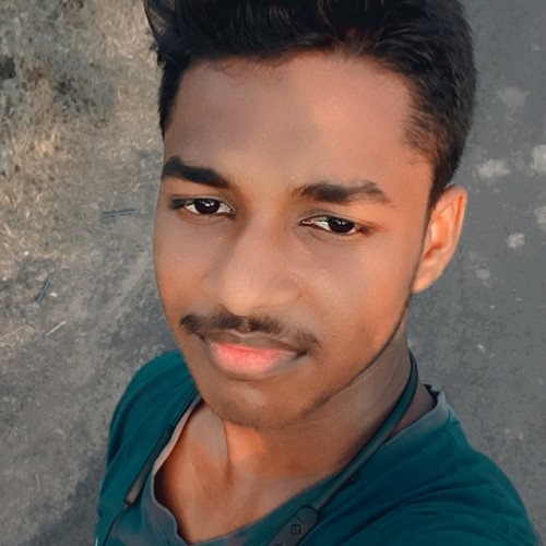 Pijush P. profile photo