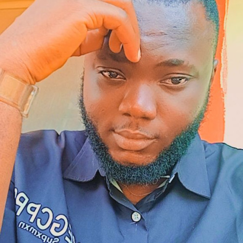 Bamidele S.