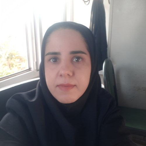 Azadeh s.