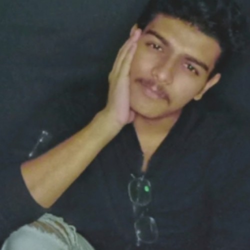 Dhruv M. profile photo