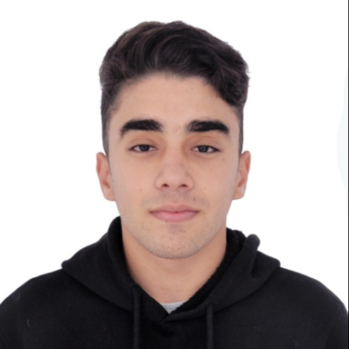 Farid H.