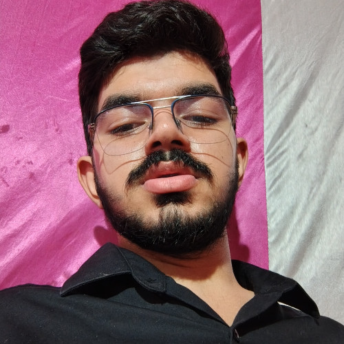 Ayush D. profile photo