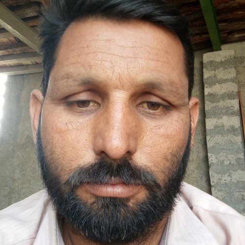 Muhammad N. profile photo