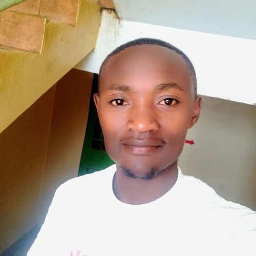 David N. profile photo