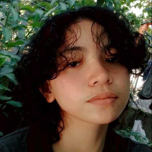 Noa n. profile photo