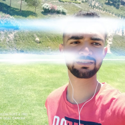 ali m. profile photo