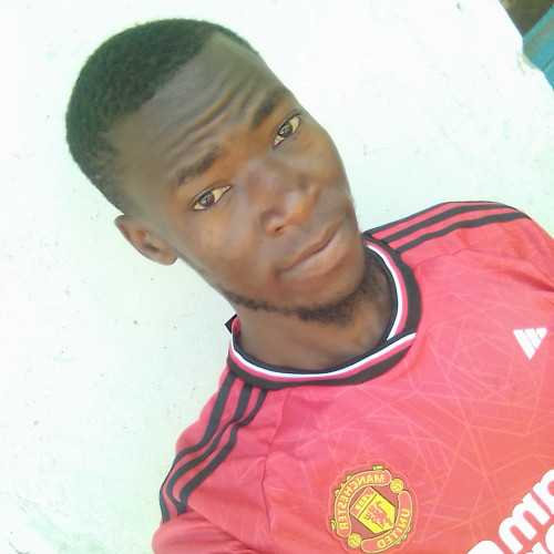 Vincent A. profile photo