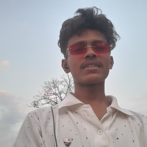 himanshu t.