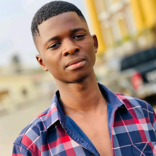 Ndubuisi  V. profile photo