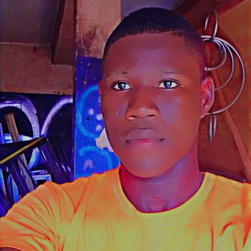 Damilola P. profile photo