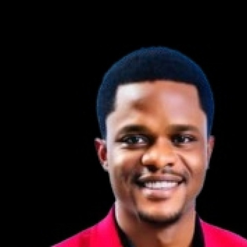 Ajewole  S. profile photo