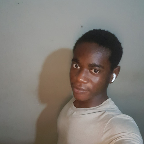 Lindoir D. profile photo
