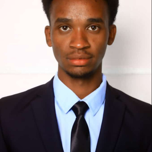 DENNIS N. profile photo