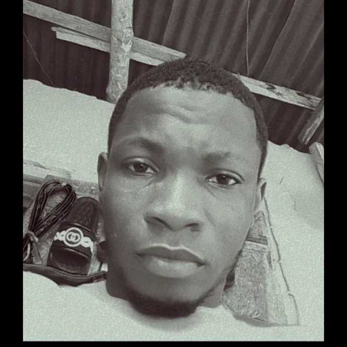 adebara m. profile photo