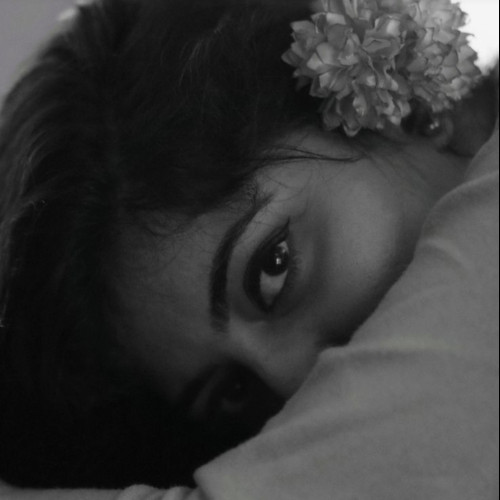 Sanya T. profile photo