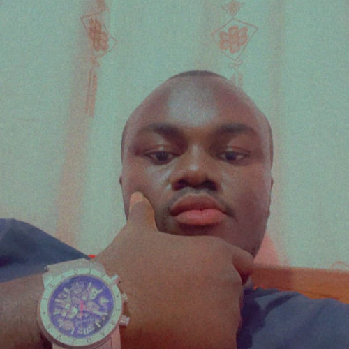 Chukwunonso I. profile photo