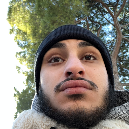 Ali L. profile photo