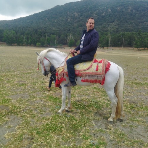 El houssine  Z. profile photo