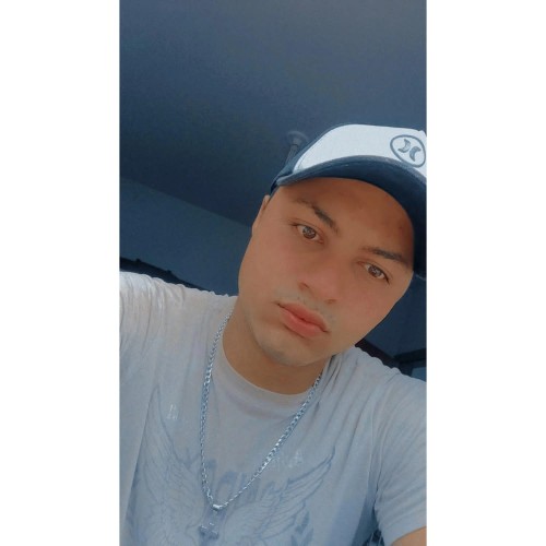 Alan P. profile photo