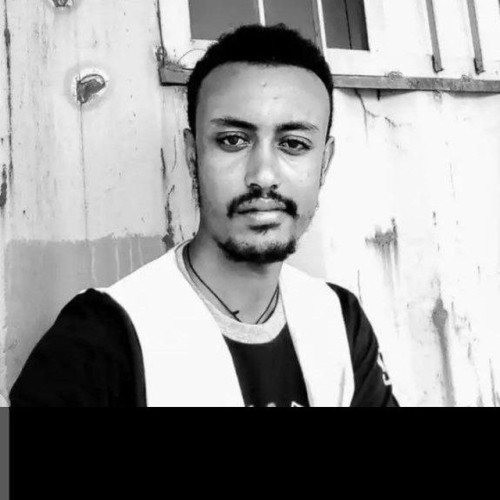 Muluken T. profile photo
