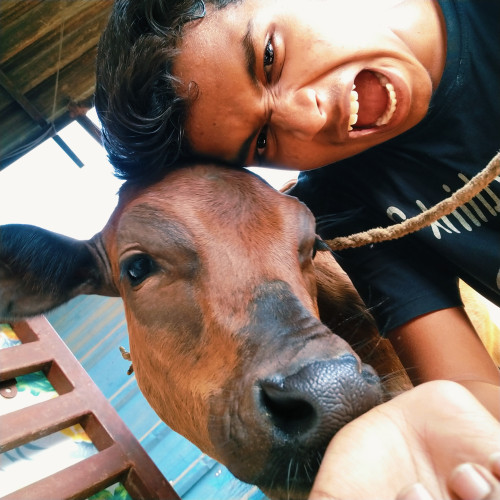 chintu m. profile photo