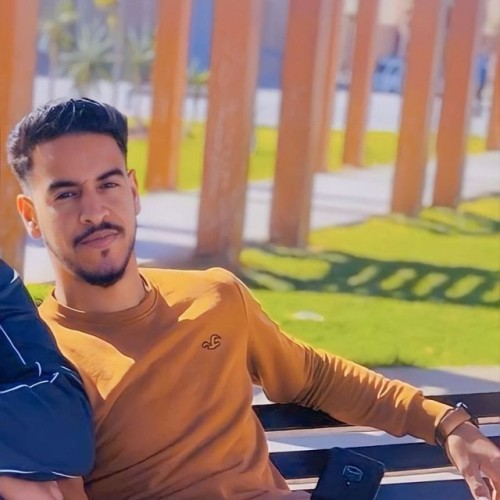 Noureddine D.