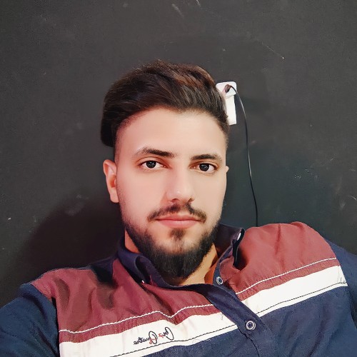 Hameed W.