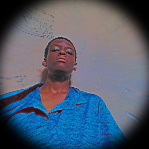 Max L. profile photo