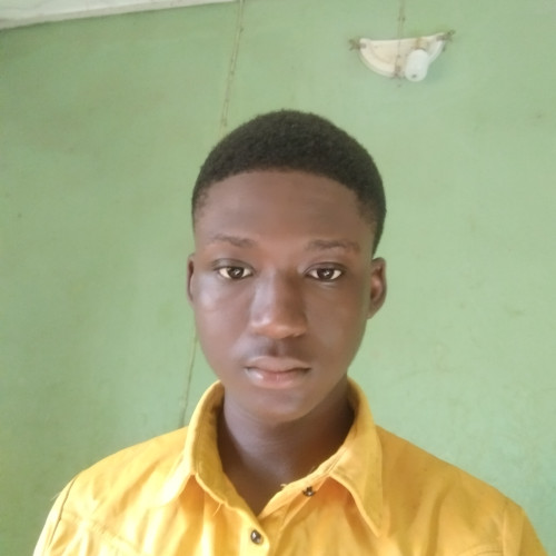 Adeniji  O. profile photo