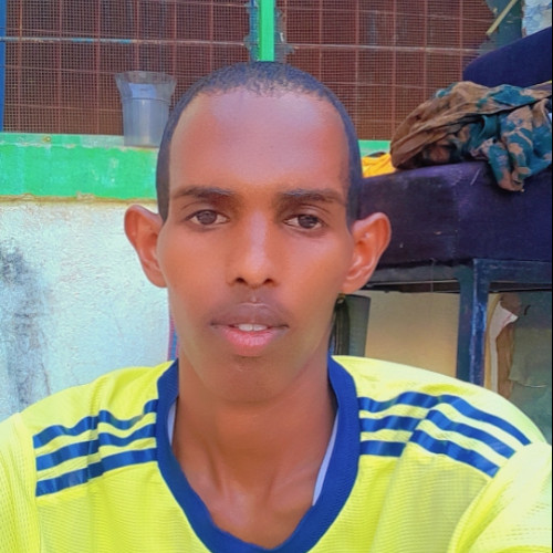 DIZO D. profile photo