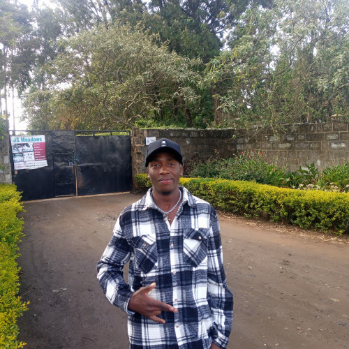 Kelvin K. profile photo