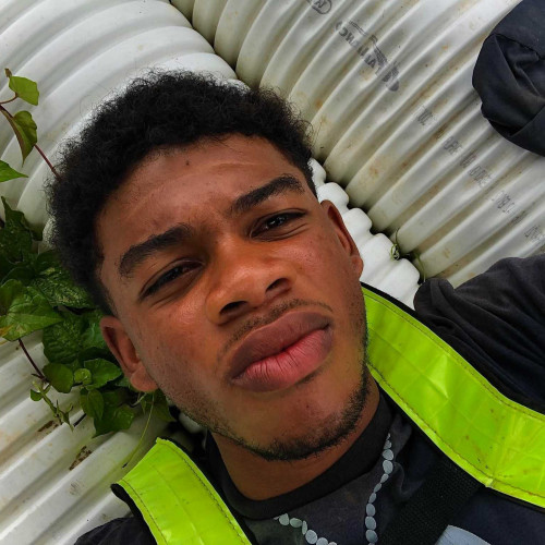 elton d. profile photo