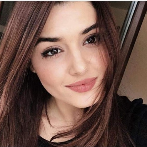 هند ي.