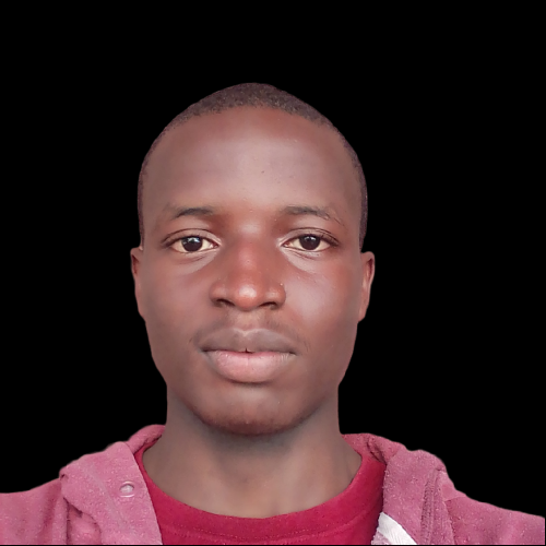 Nnaemeka E.