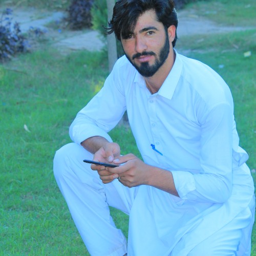 Musarat H. profile photo