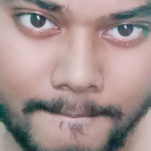 Kiranmoy H. profile photo