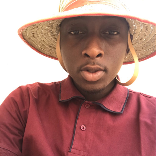 Ahmad M. profile photo
