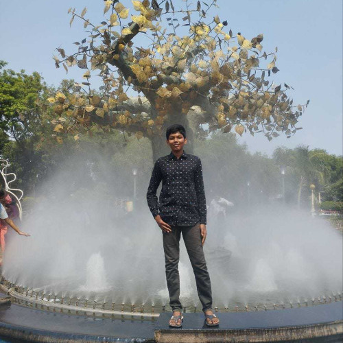 chandrasekhar p. profile photo